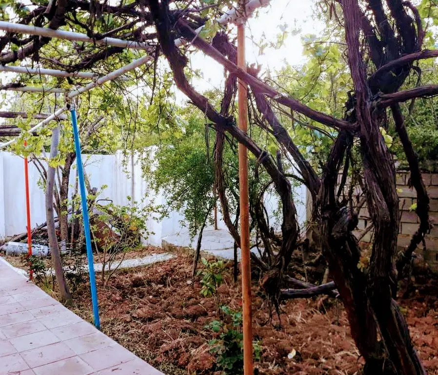 باغ ‌_ قصردشت