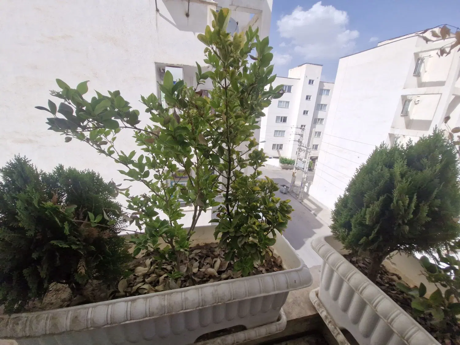 ۱۰۵ متر فاز ۸ بیواسطه از مالک
