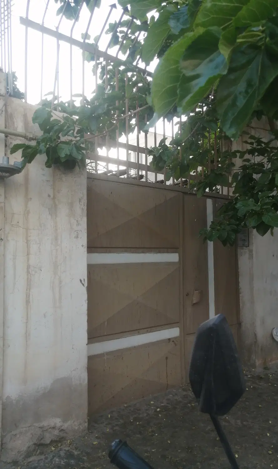 فروش ملک کلنگی محله قینان نظر غربی