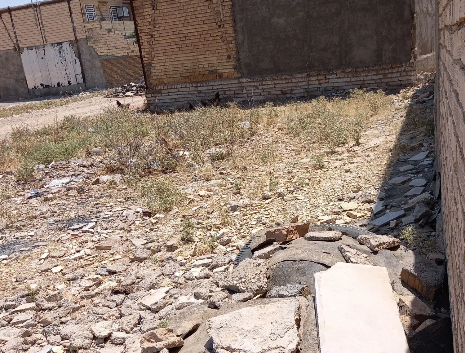 زمین مسکونی