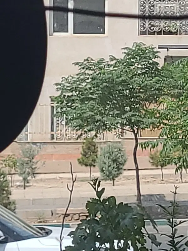 رهن و اجاره فاز ۴ پرند