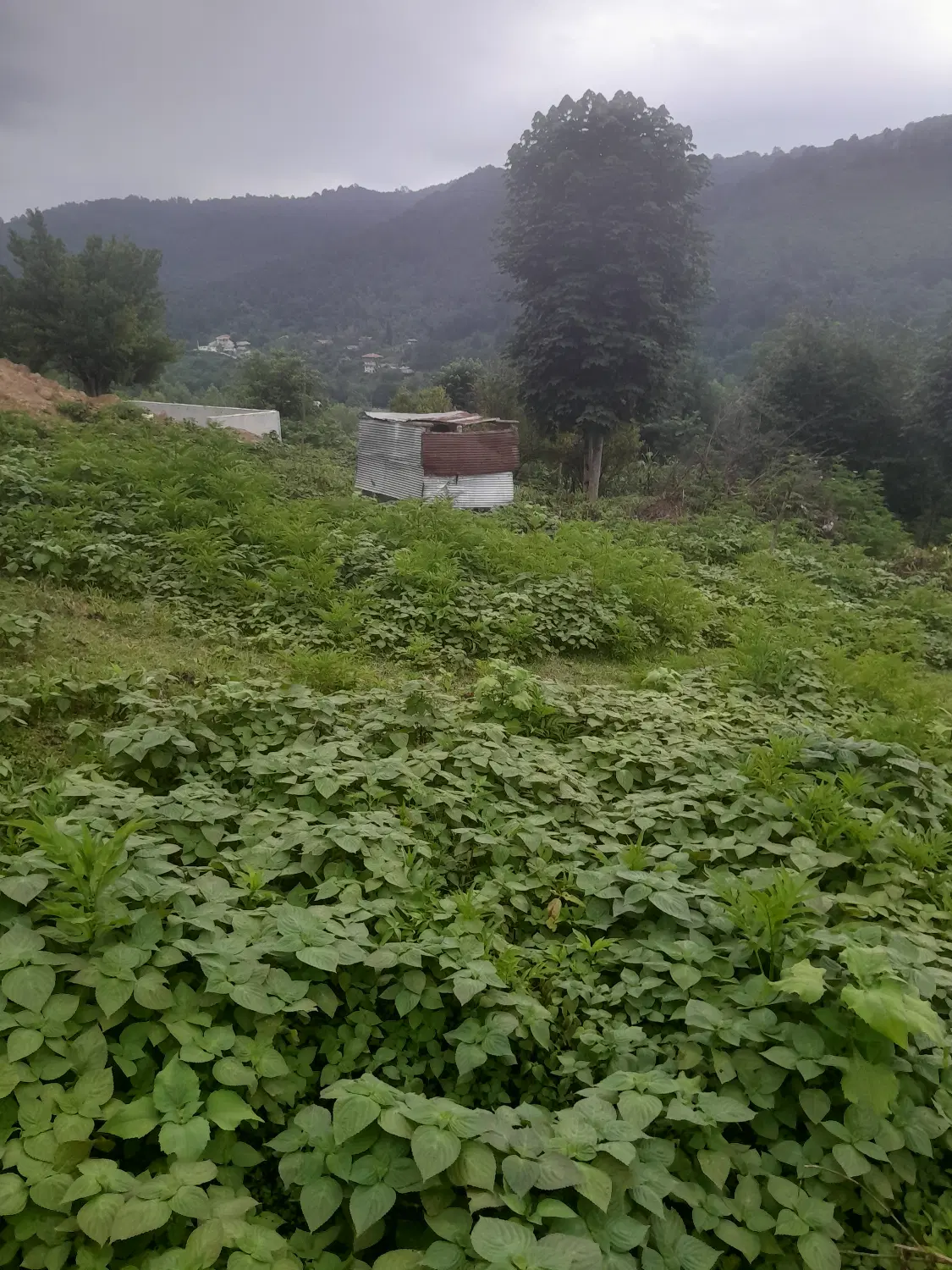 زمین فروشی