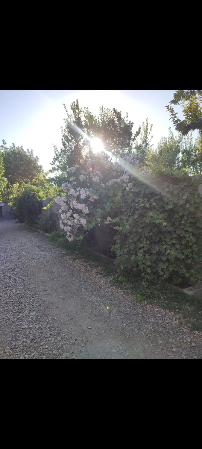 باغ باغچه شهریار بکه