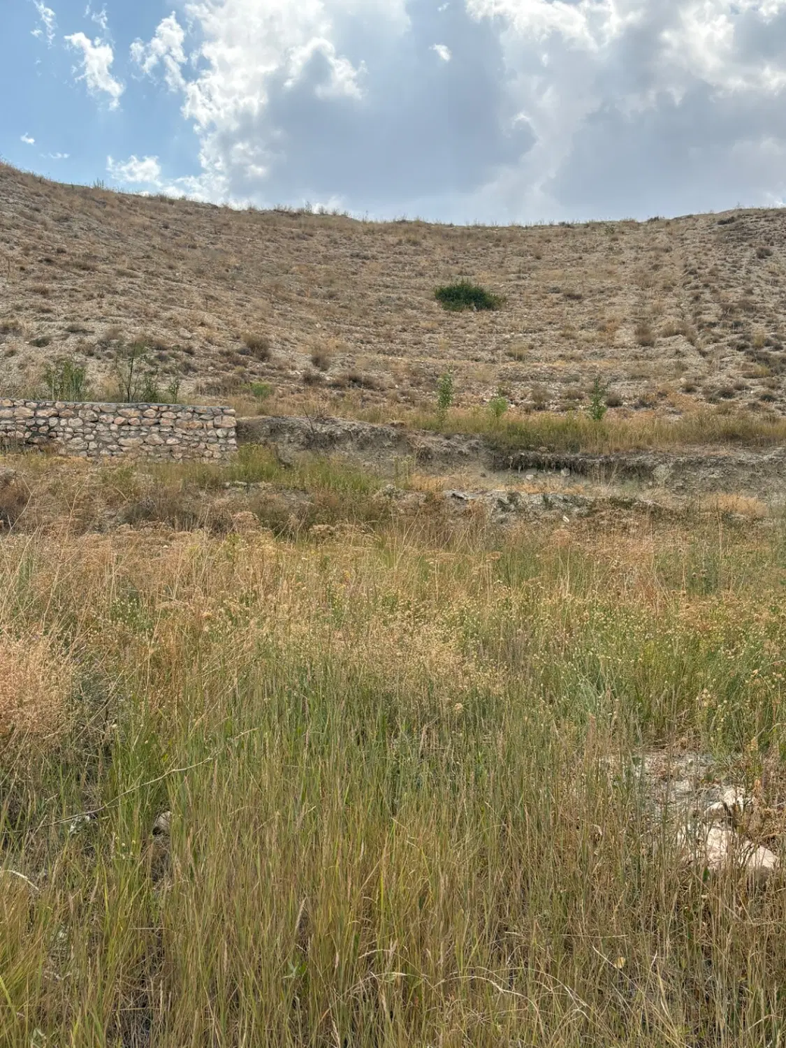 زمین کشاورزی