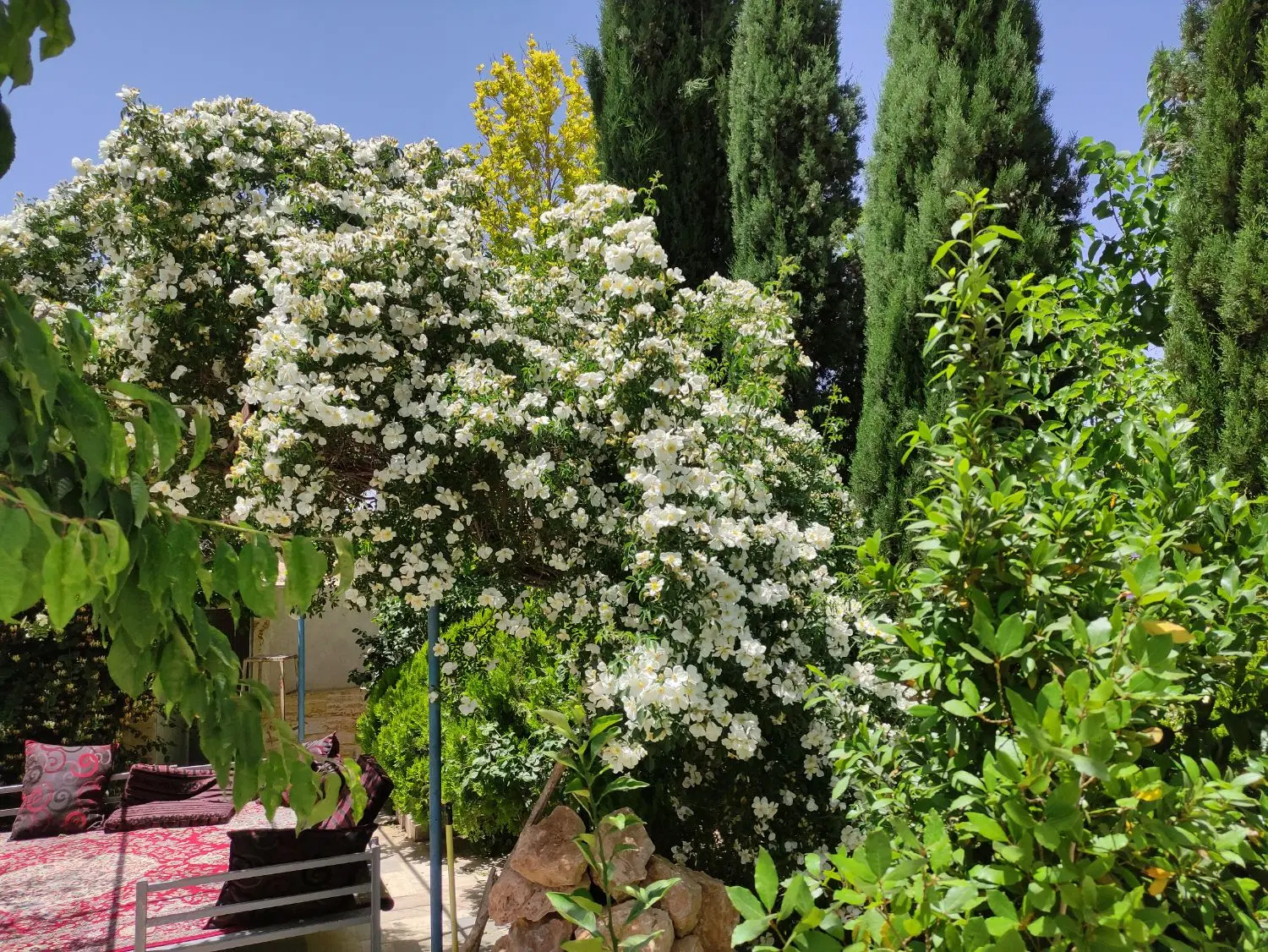 باغ مسکن آموزش و پرورش
