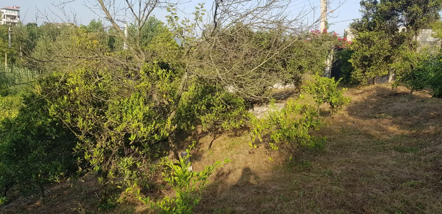 فروش زمین