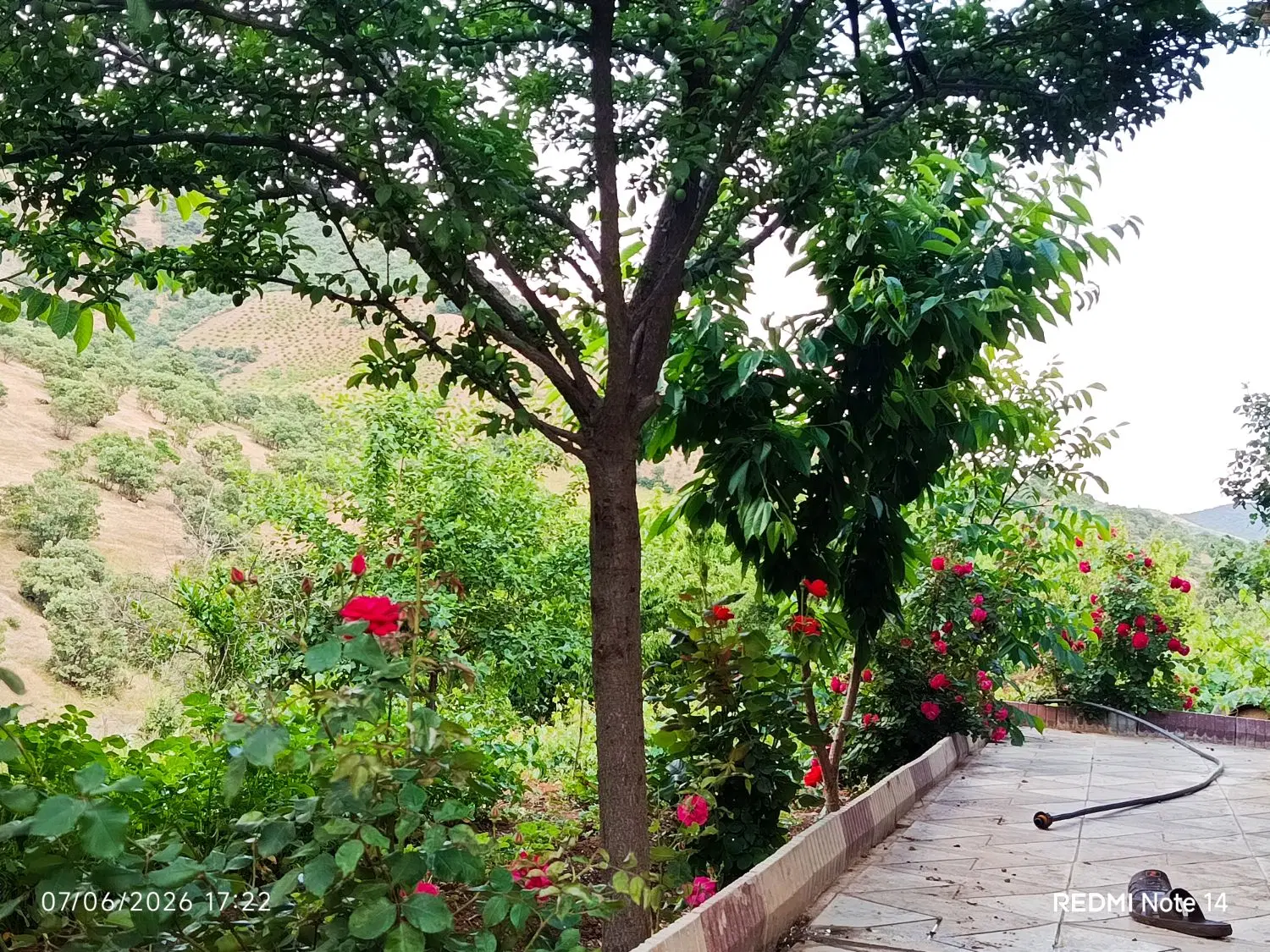 خانه باغ