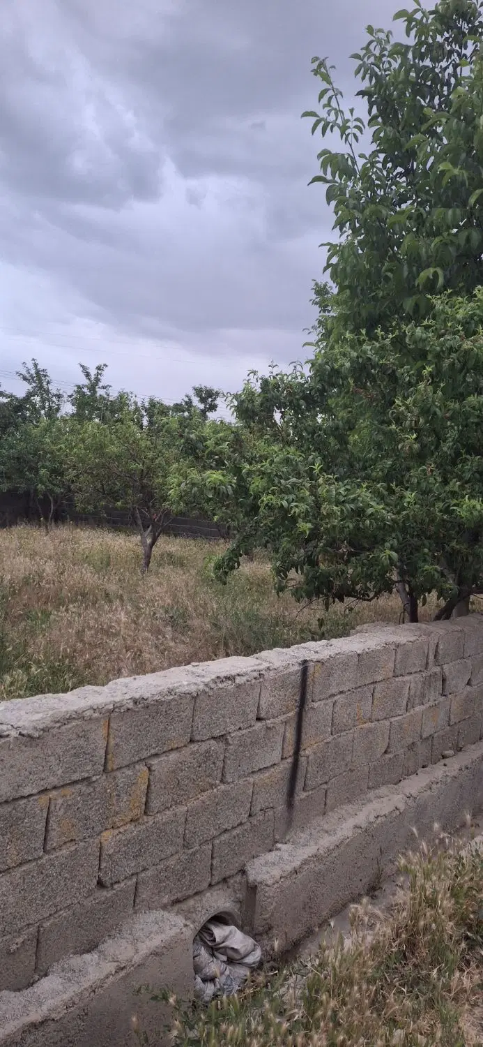 زمین باغ و باغچه 250 متری