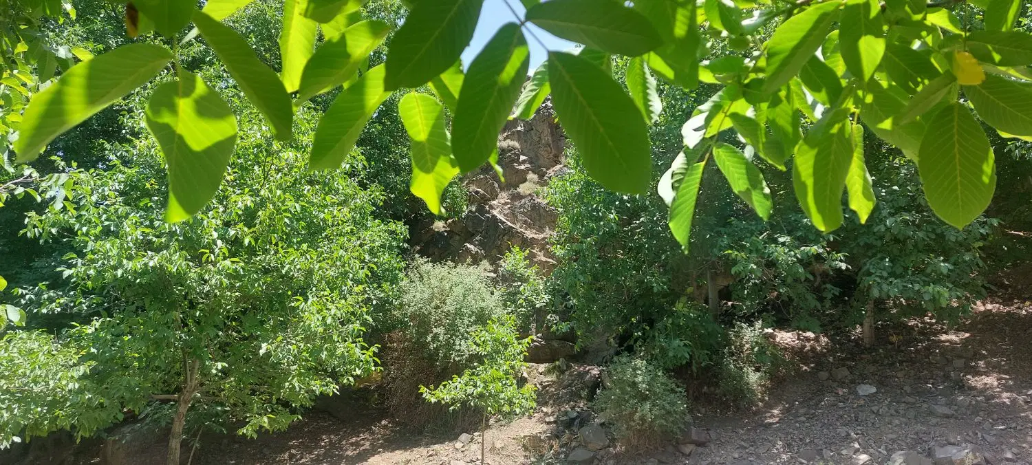 ۳۸۰متر زمین