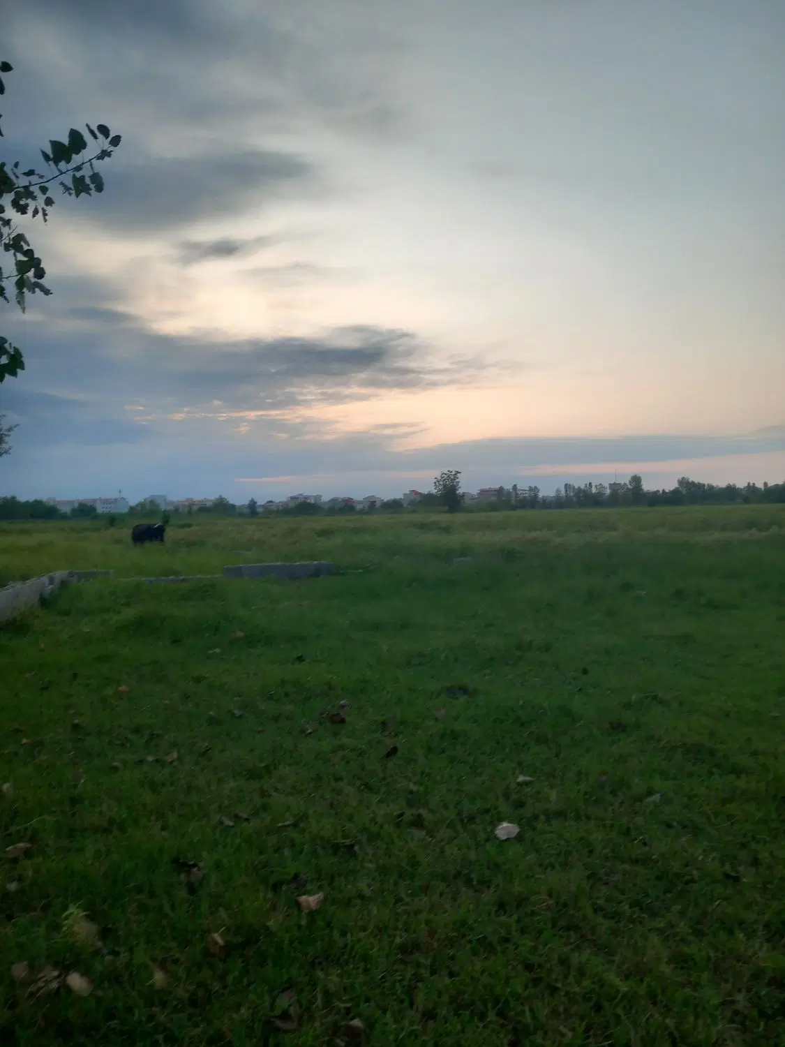 زمین کشاورزی