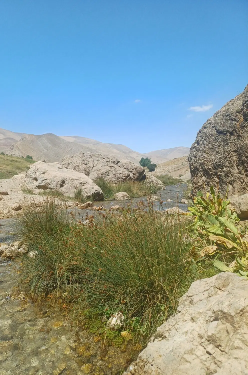 زمین ۳۰۰ متری علی آباد باغخواص