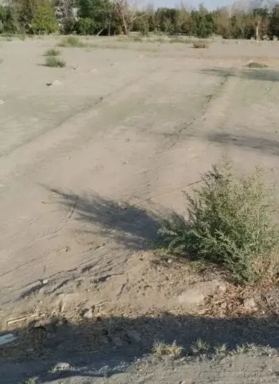 زمین کشاورزی ۴۱۵متر بر جاده