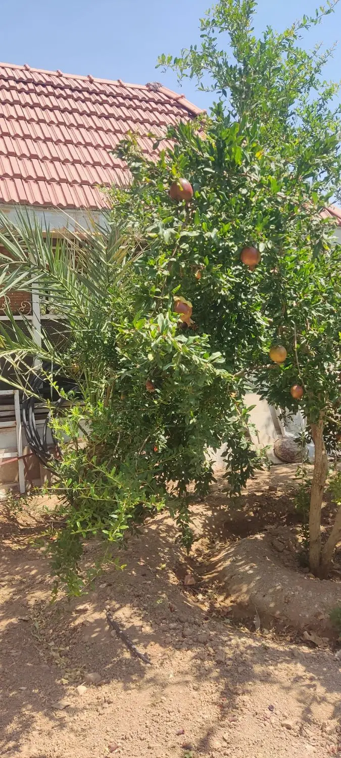 باغشهری در پردیس ملوسجان