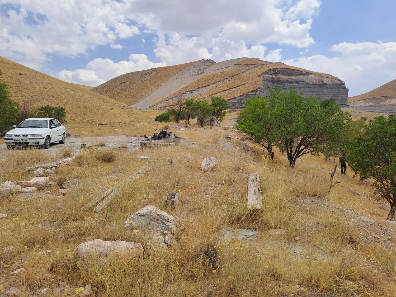 زمین باغ ویلا