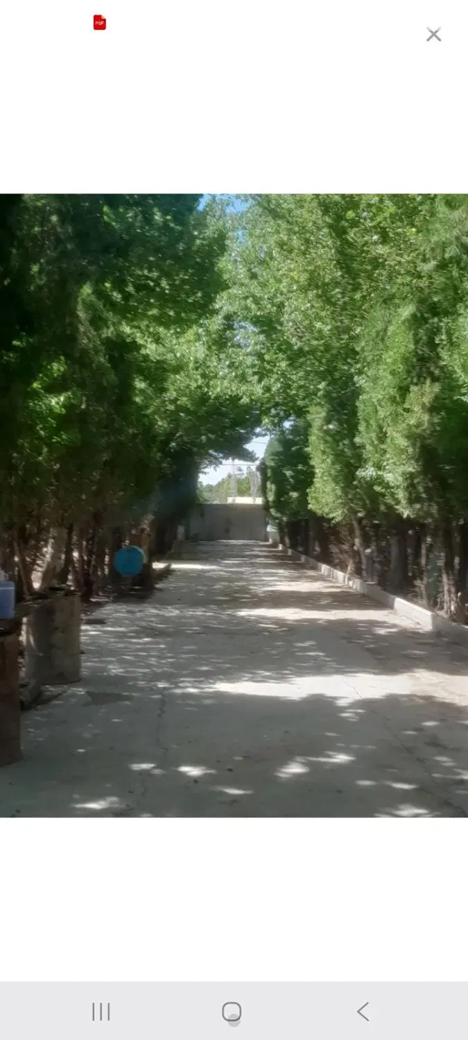 ۱۹۵۰ متر سند شش دانگ شاهنشاهی بوستان کنتور