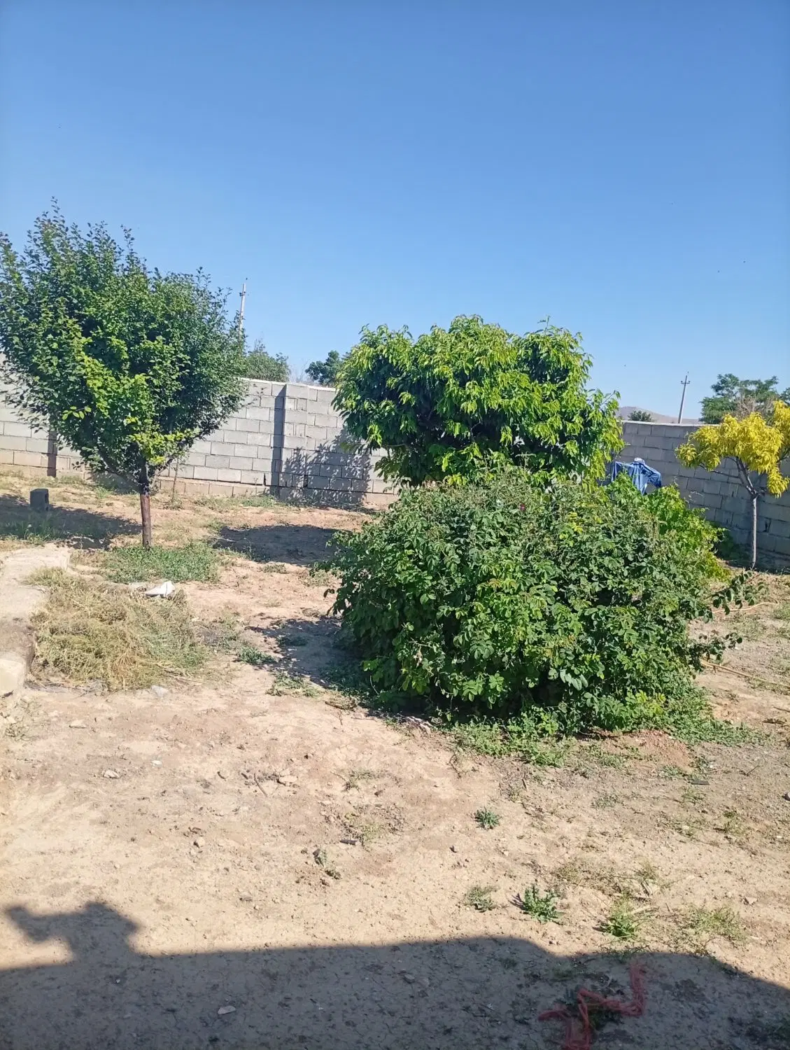 خانه وباغچس روستای عباس آباد