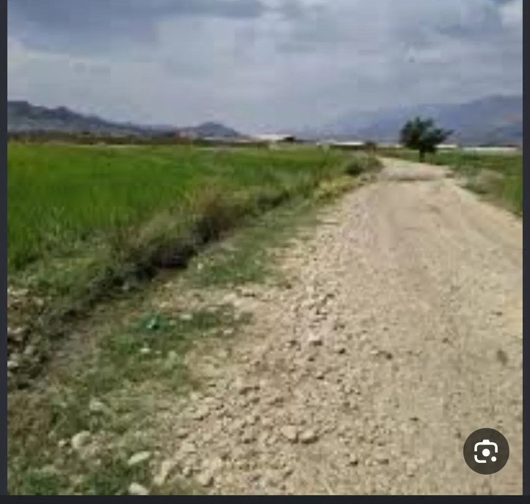 زمین نرگاه ۲۶۵ سینره