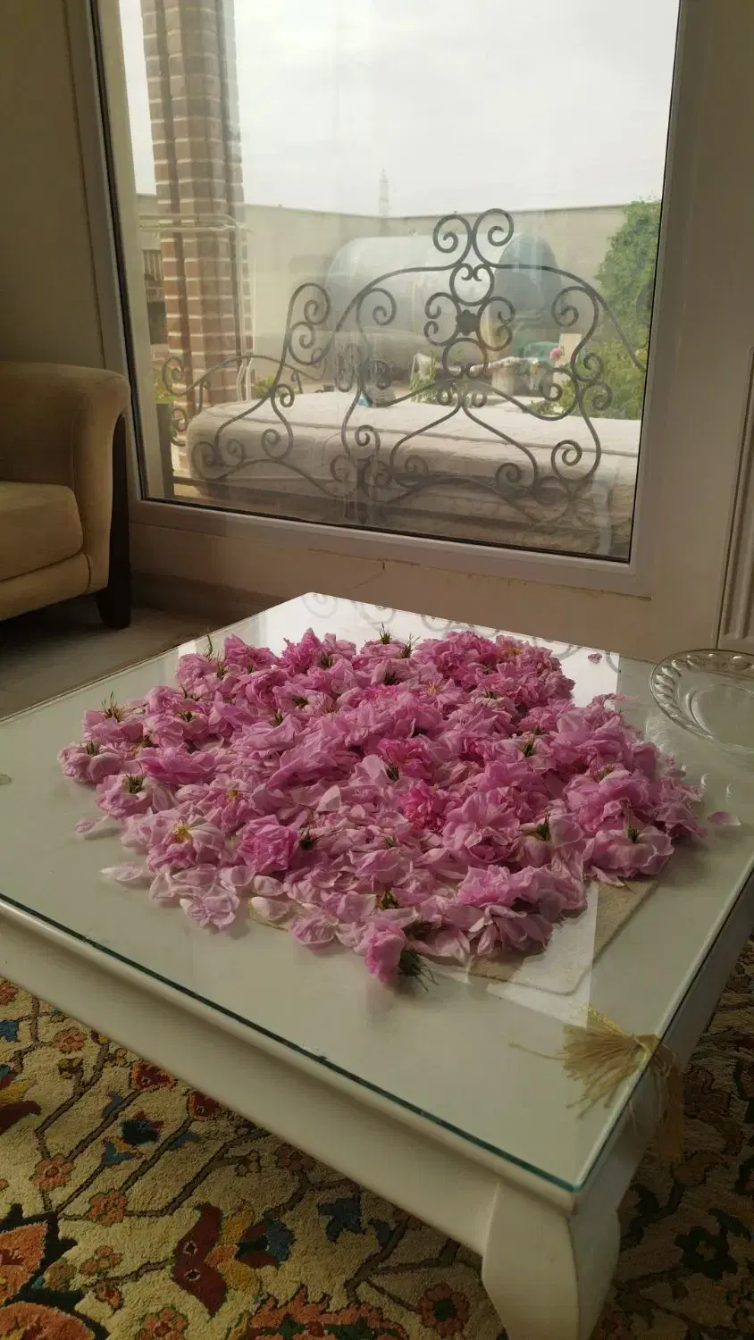 خانه علی اصغر (ع)