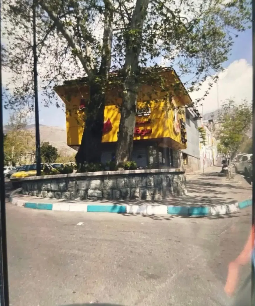 کلنگی دور میدان تجربش