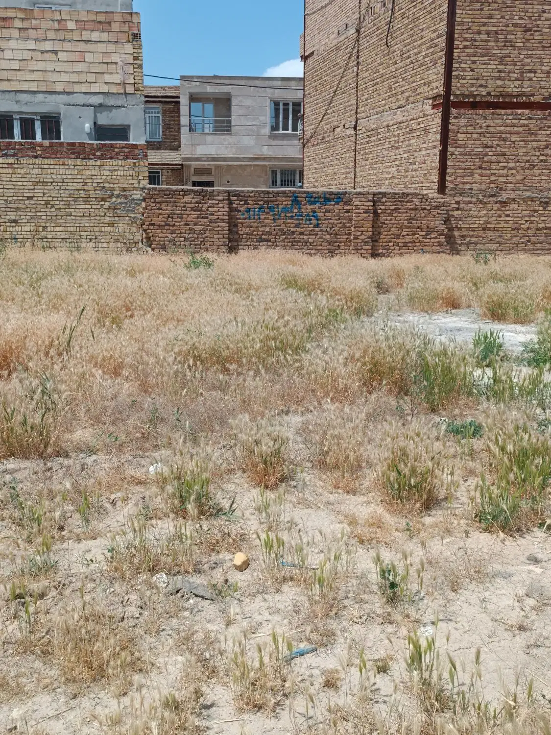 زمین مسکونی در نقشی