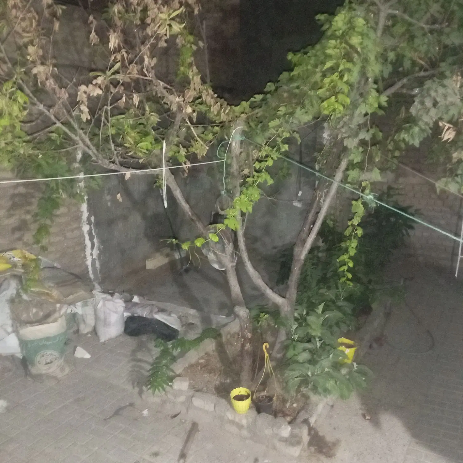 رهن اجاره