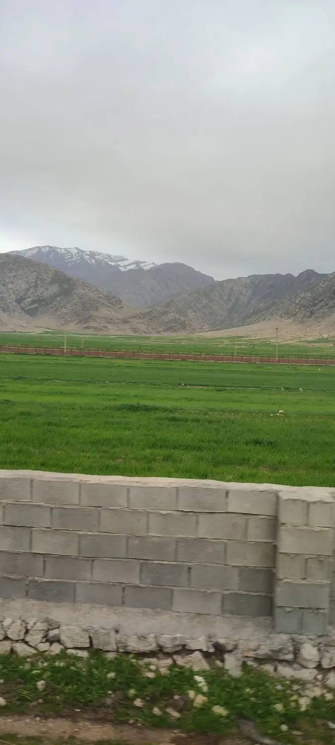 زمین