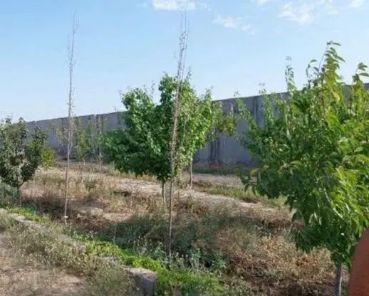 فروش۱۰۰۰متر زمین ویلایی زرنق