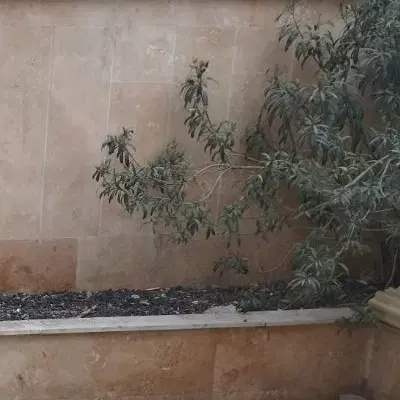 آپارتمان ۵۵متری