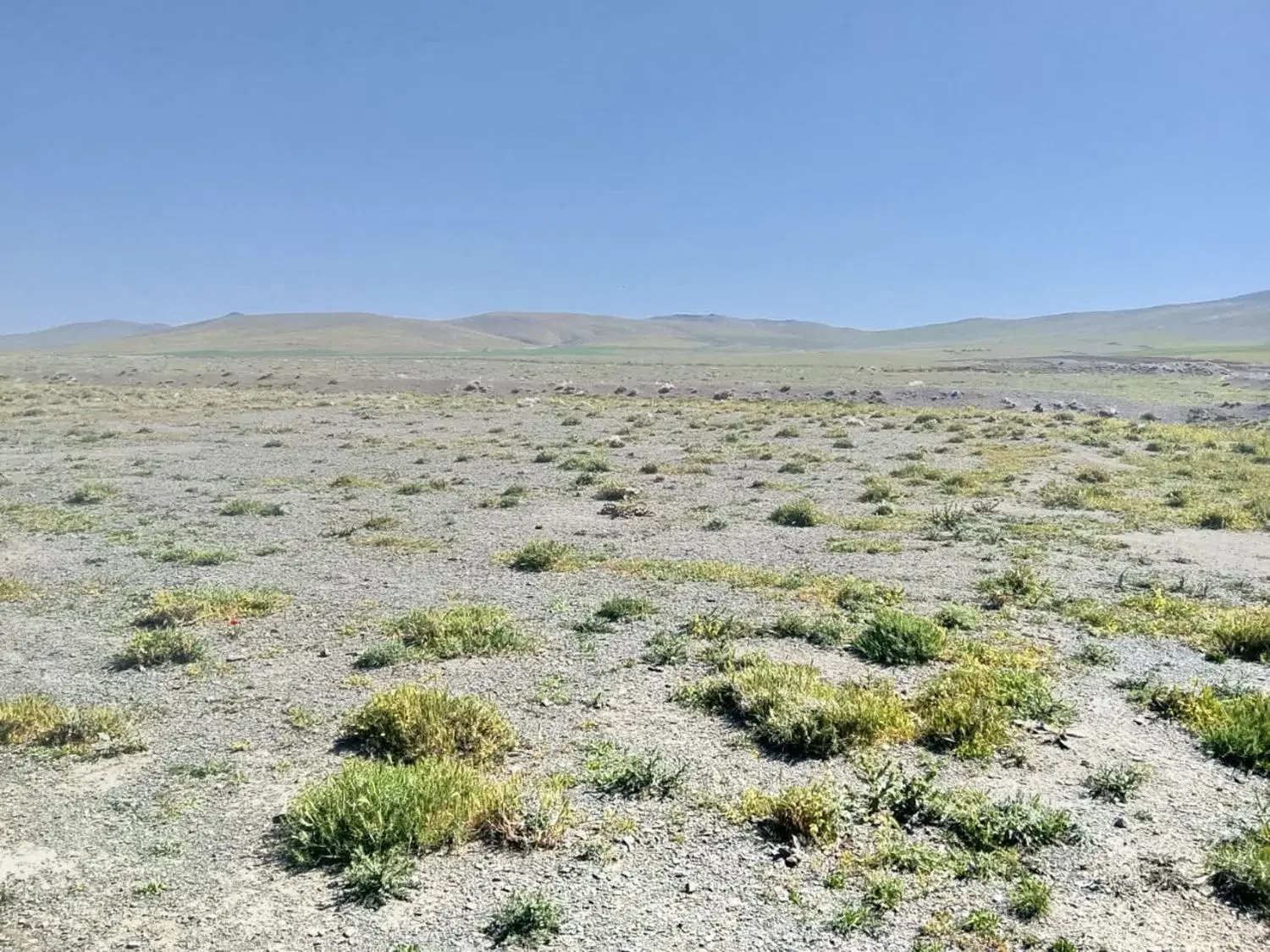 فروش یک قطعه زمین در روستای جوزان