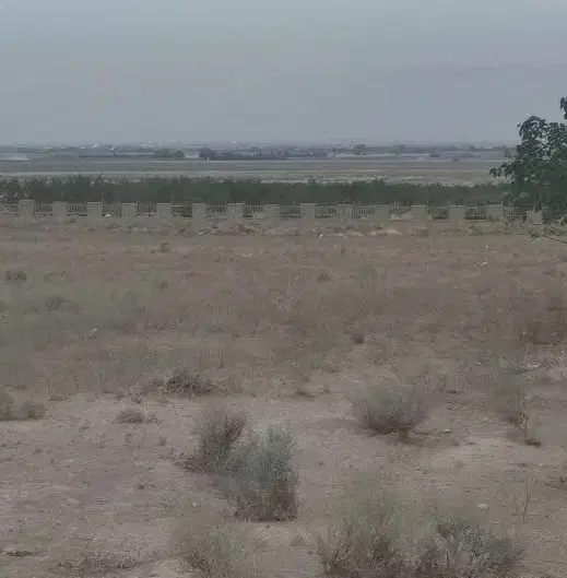 زمین