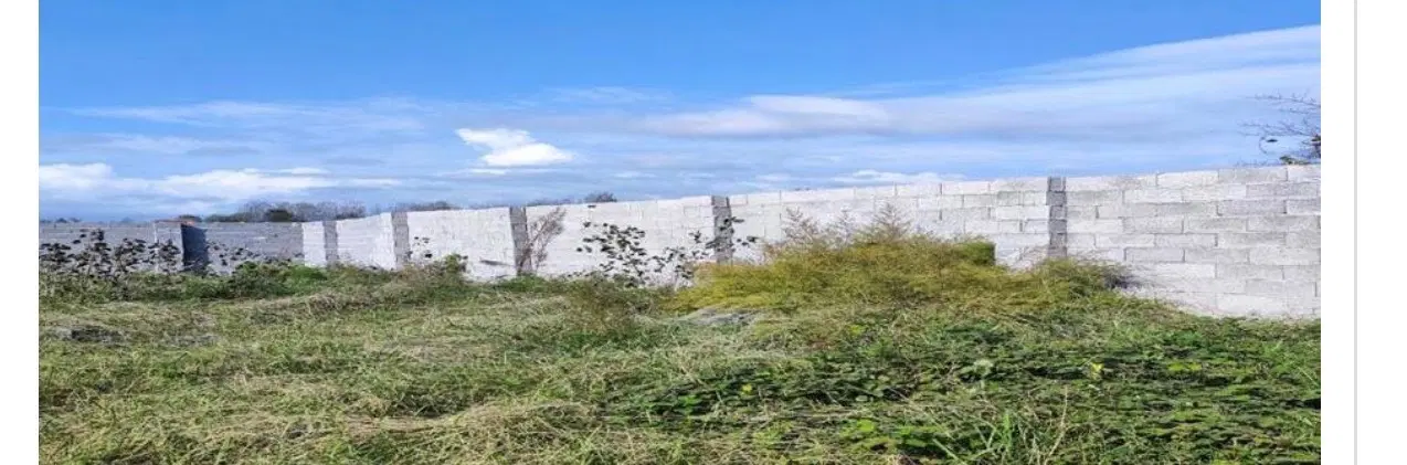 ۱۱۷ متر زمین پشت شفا عبدی ۱۵