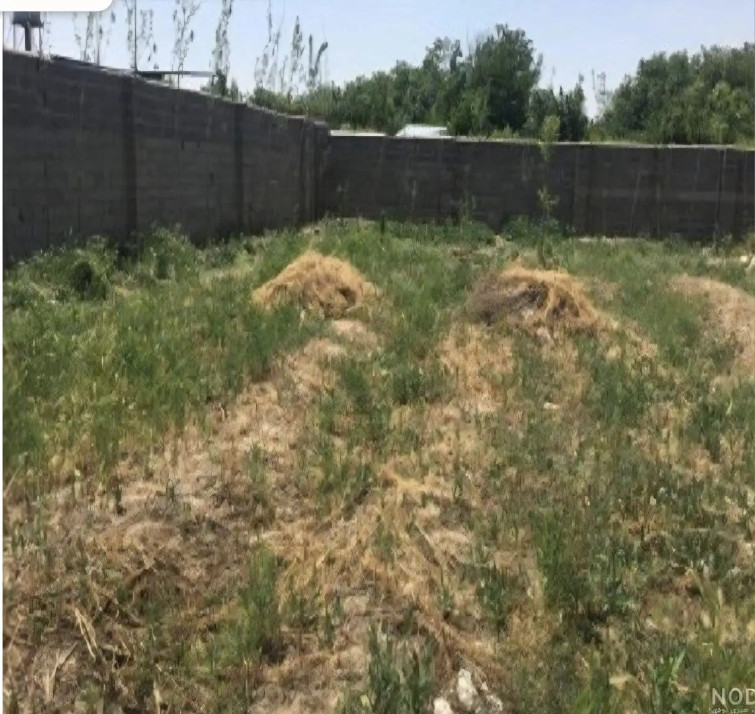 زمین مسکونی
