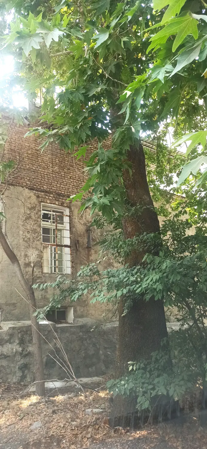 اجاره واحد 90 متری ظفر
