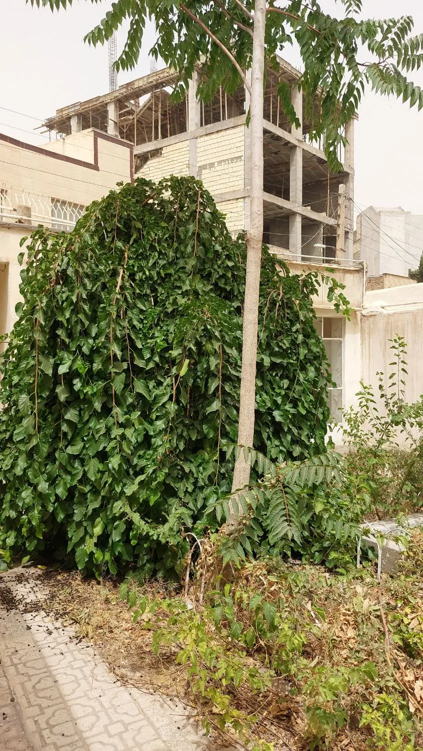 خانه ویلایی ۱۷۰ متری سند ششدانگ مولوی
