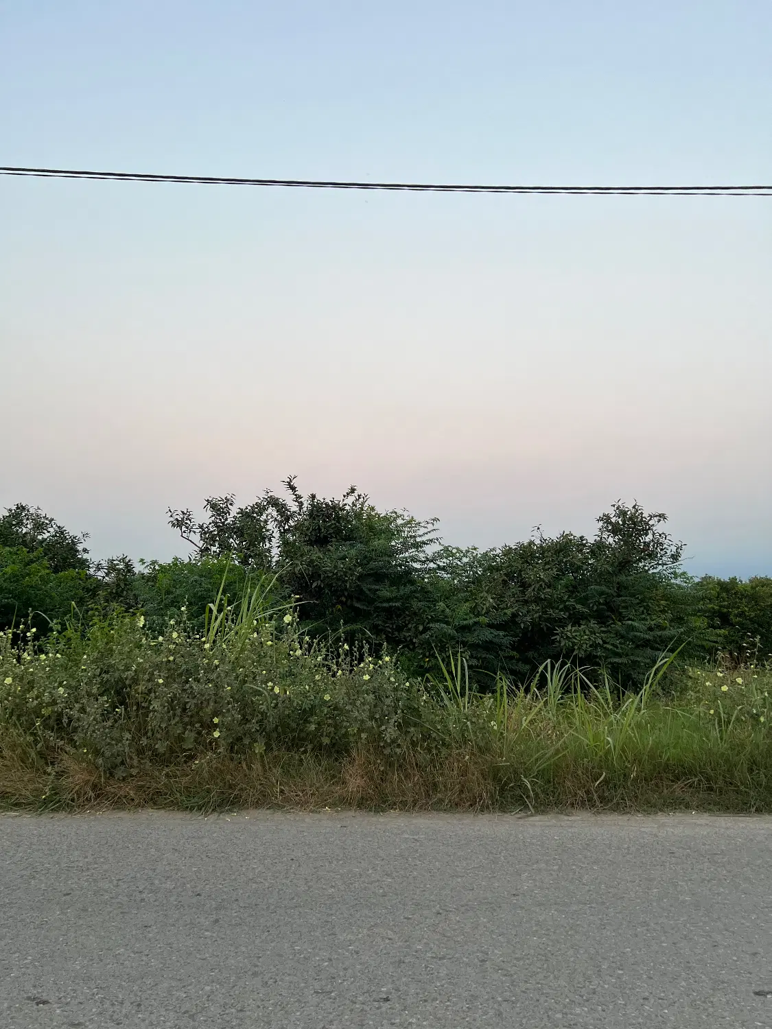 زمین مناسب ساخت خانه‌باغ