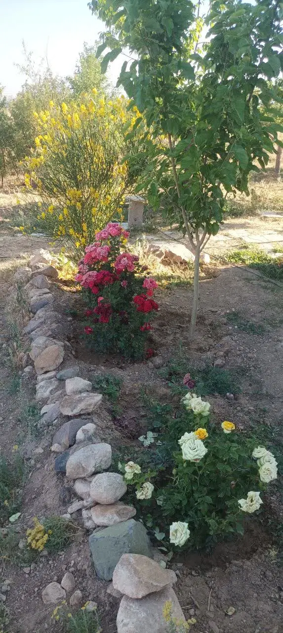 باغ در اژدهاتو