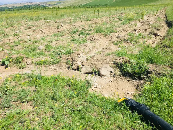 یک قطعه باغ به متراژ حدودا ۲۰۰۰ متر
