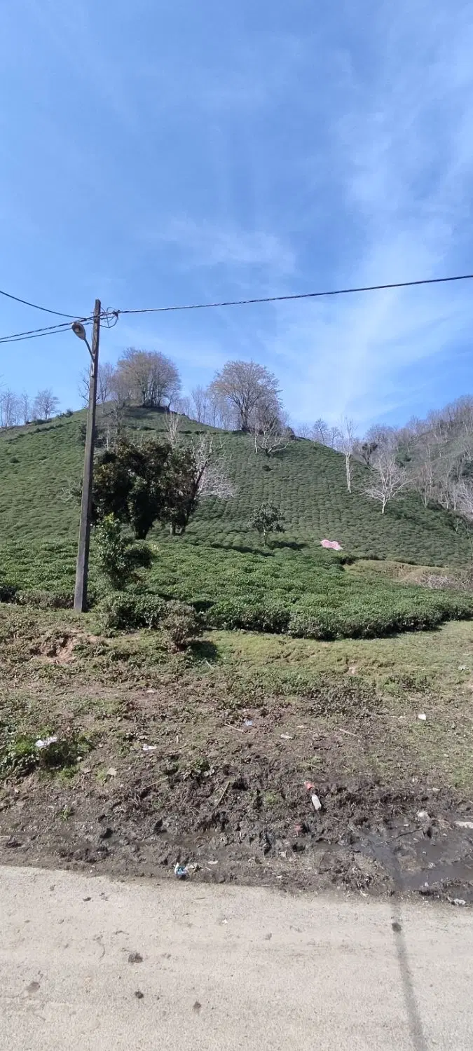 زمین سنددار هکتاری مسکونی دامنه کوه