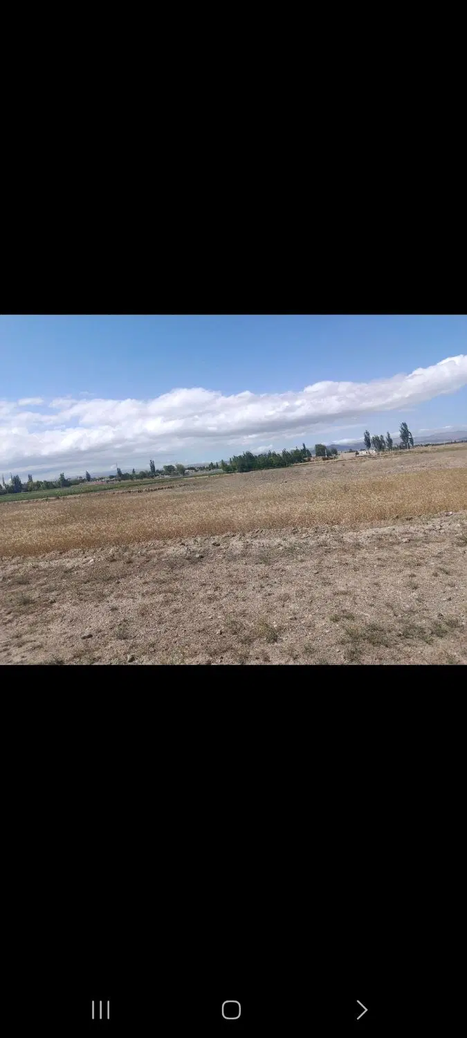 فروش زمین کشاورزی