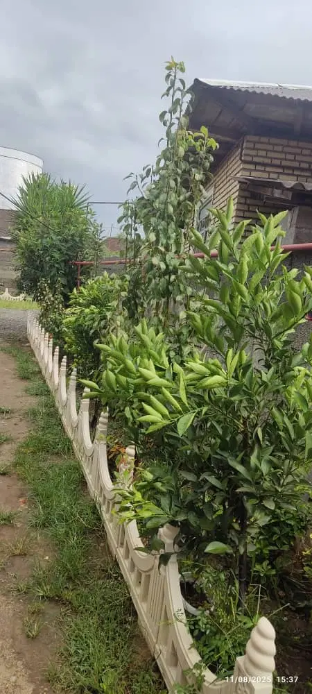 ویلادوخوابه باتمام امکانات