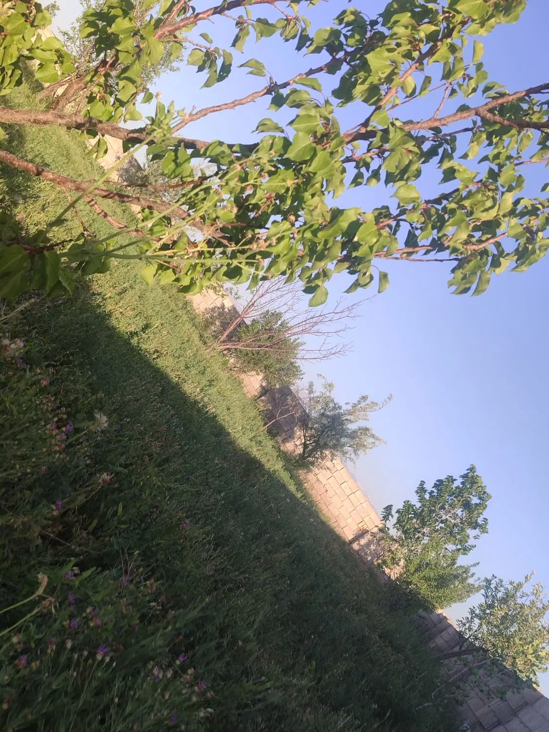 باغ  اخولا
