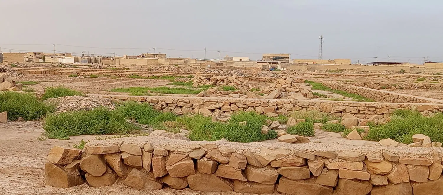 زمین