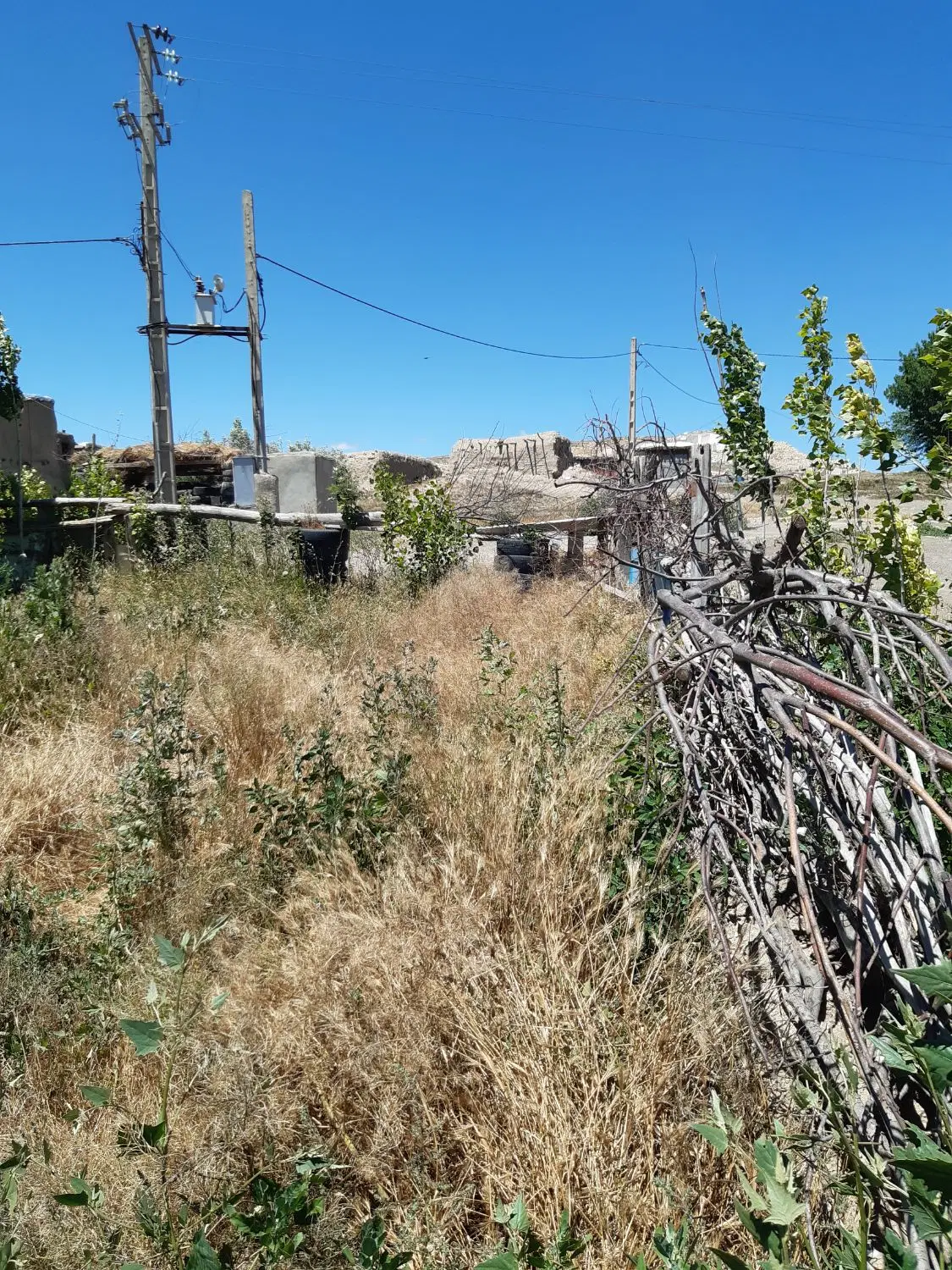 زمین باغ ویلا روستای سیف آباد نمین