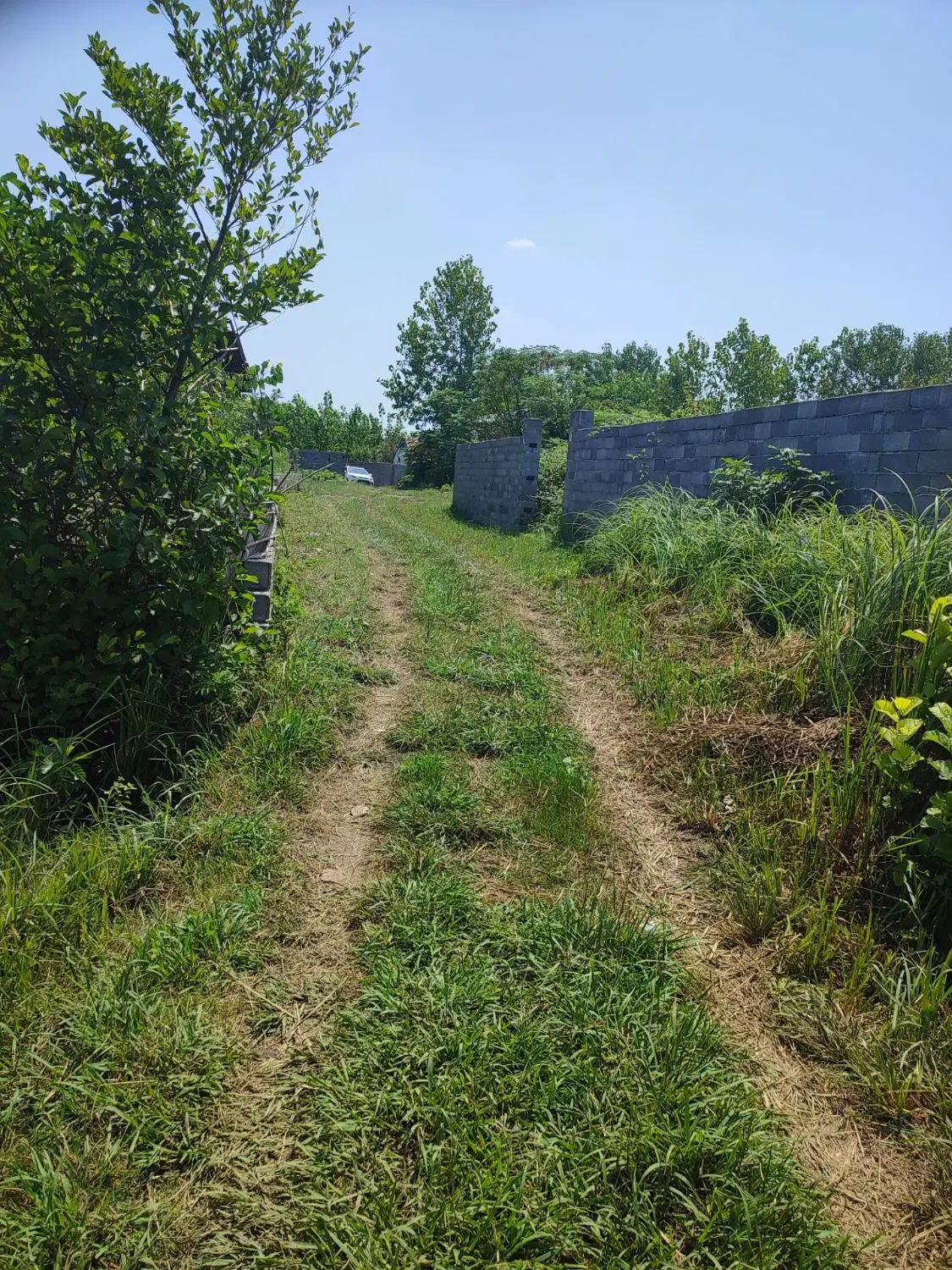 زمین زراعی کوچصفهان