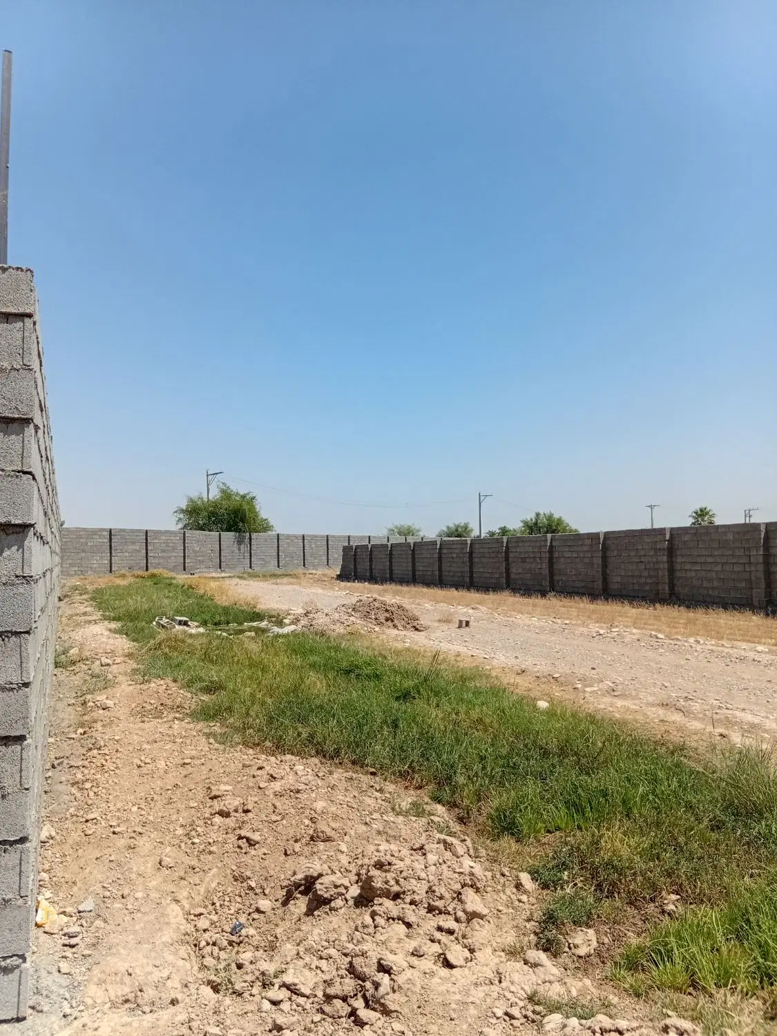 زمین با کاربری باغی