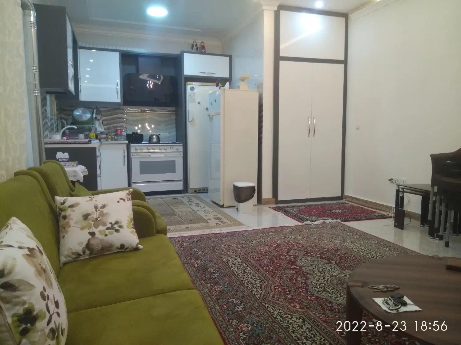خونه باغ نقلی