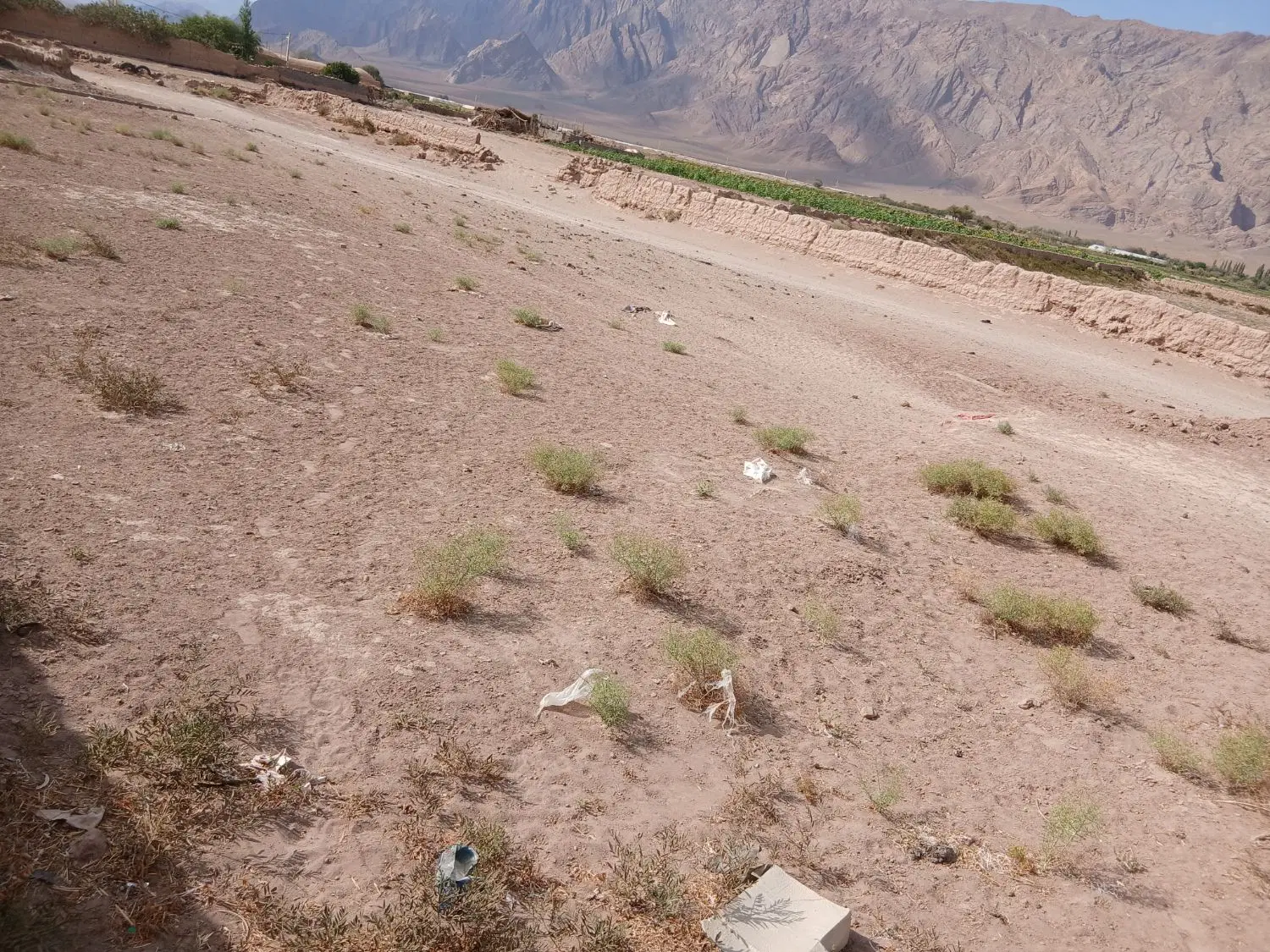 20قصب زمین درحوالی راین روستای دهملک