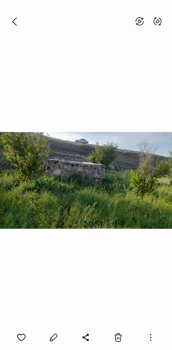 فروش باغ انار