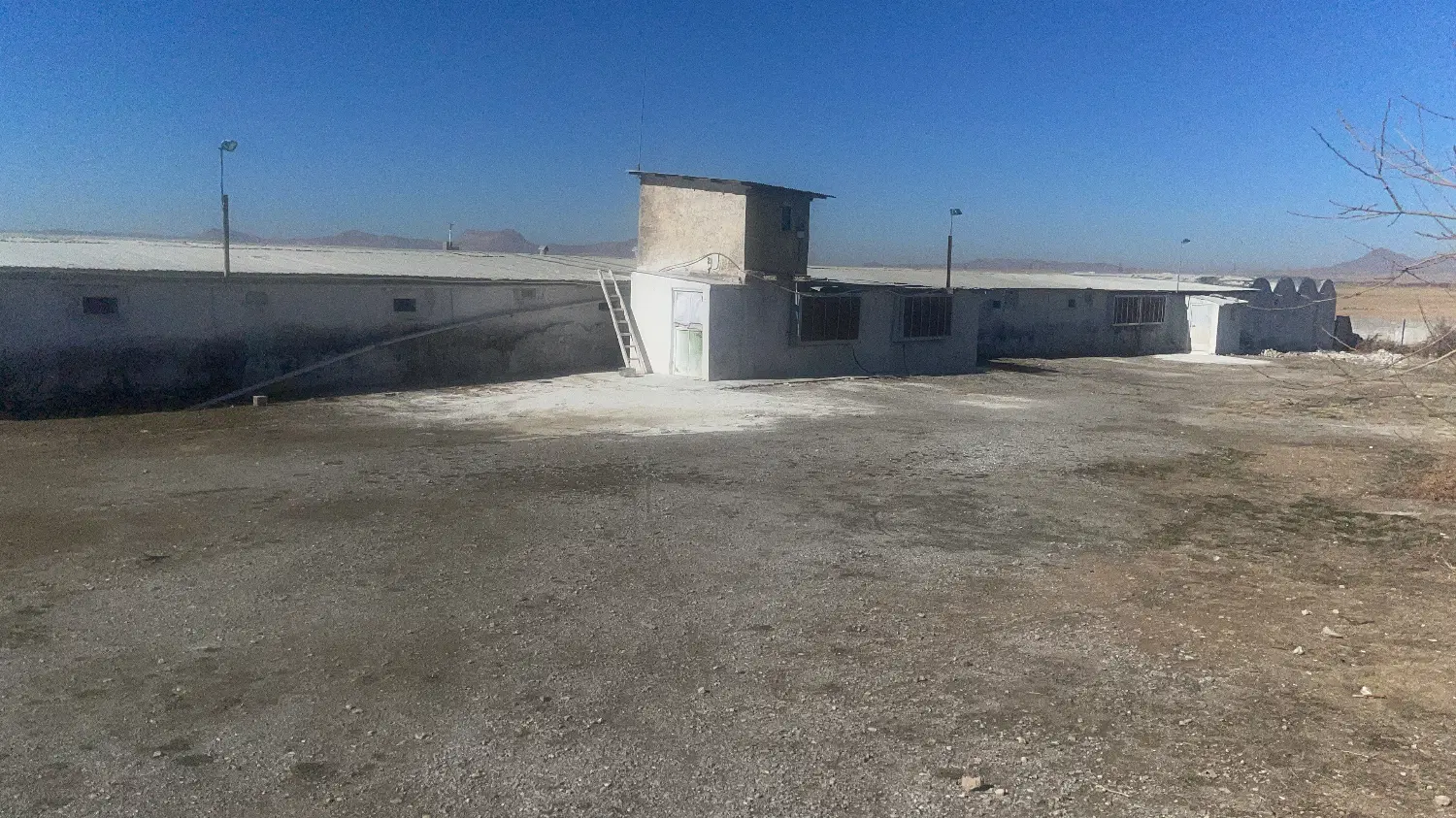مرغداری گوشتی۱۷هزارقطعه