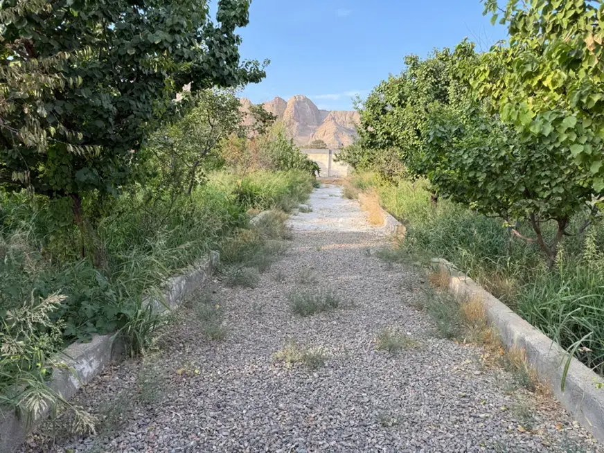 باغ چهاردیواری در زردنجان